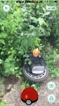 Pokémon Go mit einem elektrischen Einrad von Kingsong Ninebot Inmotion Monowheel Airwheel Solowheel Onewheel Angelboard Hoverboard Oxboard Segway GotWay spielen und Hornliu finden