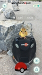 Pokémon Go mit einem elektrischen Einrad von Kingsong Ninebot Inmotion Monowheel Airwheel Solowheel Onewheel Angelboard Hoverboard Oxboard Segway GotWay spielen und Taubsi finden