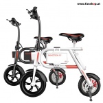 Gruppe: Elektrische Fahrrräder (E-Bikes)