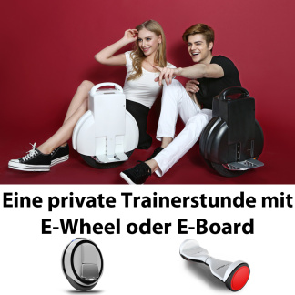 Egret Tasche klein - Emovemotors AG