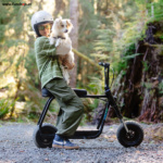 antic-bike-onewheel-future-motion-e-bike-funshop