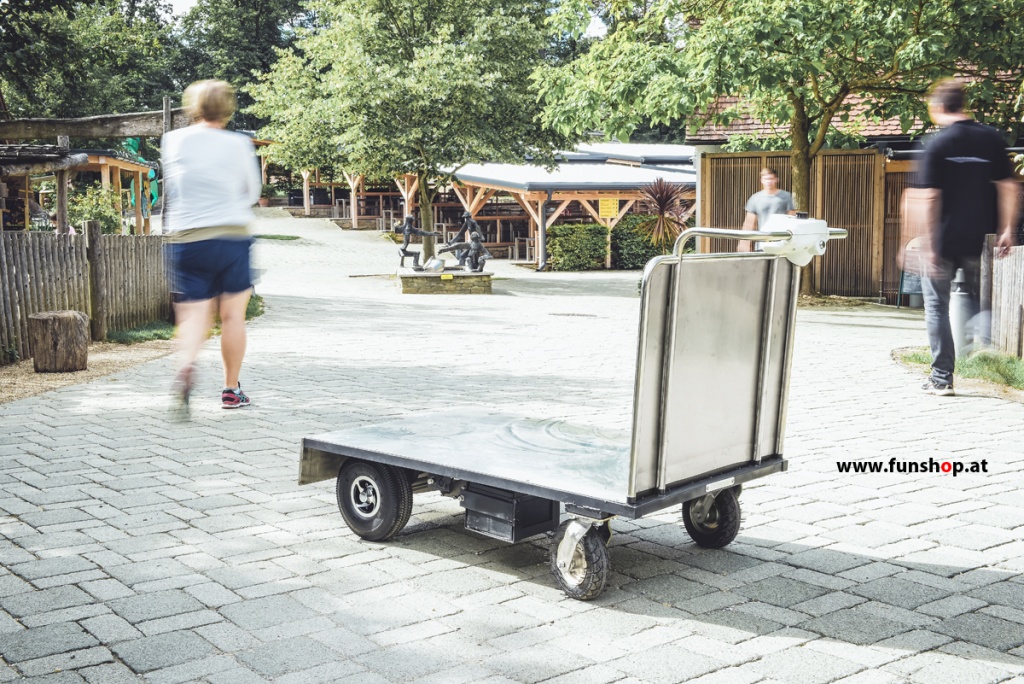 die-elektrische-schubkarre-von-carello-für-ihr-unternehmen