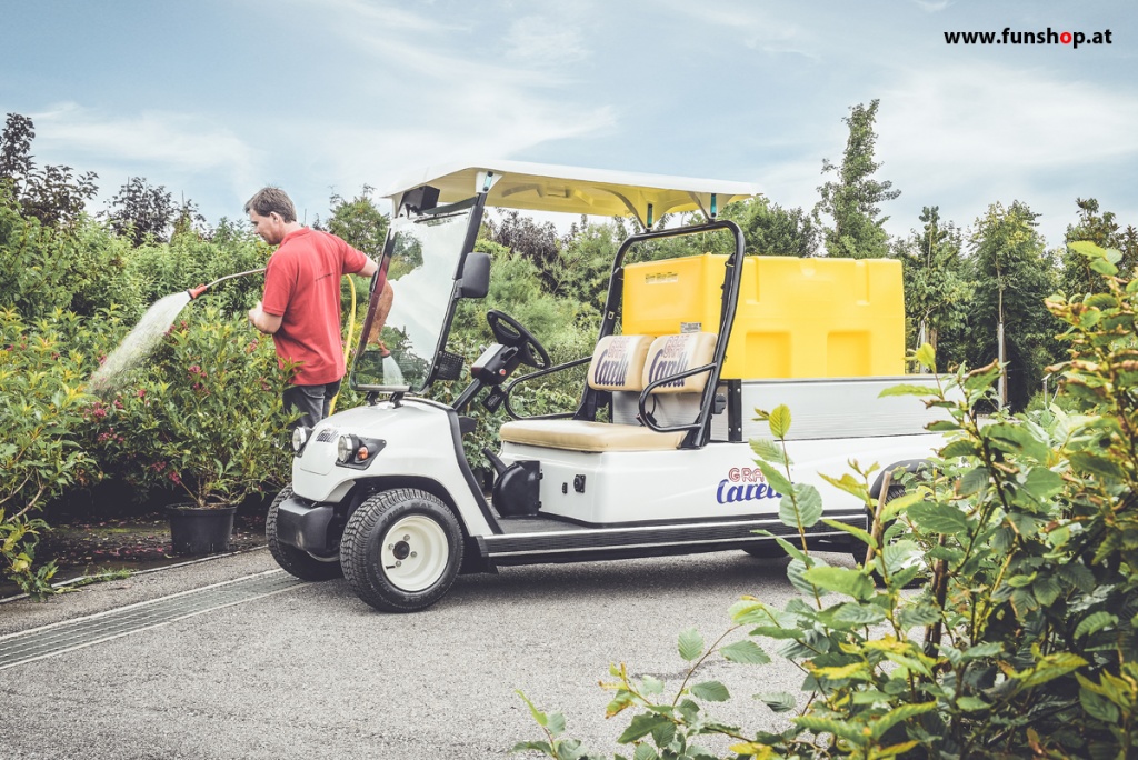 elektrischer-transporter-carello-tr40-zweisitzer-strassenzulassung