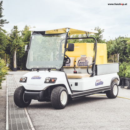 elektrischer-transporter-carello-tr40-zweisitzer-strassenzulassung