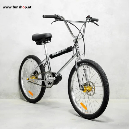 evolve-project-bmx-e-bike-skyway-tuff