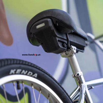 evolve-project-bmx-e-bike-skyway-tuff