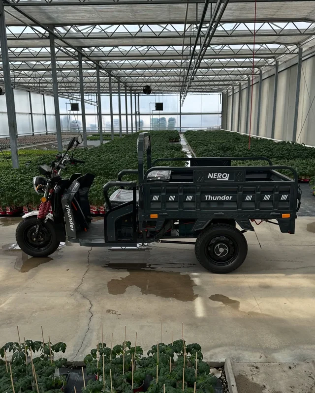 Our new Nero Thunder electric transport bikes arrived in Vienna. If you are looking for an electric cargo bike with 25 km/h or an electric transporter with 45 km/h visit us.

#cargobike #cargobikes #nerothunder #electricmobility #electric #epower #electricvehicles #elektromobilität #electricmobility #electric #epower #electricvehicles #vienna #ebike #lastenfahrrad #micromobiliy #electricvehicle  #emobility #emobility #gadgets #tricycle #tricycles #elektroroller #mobilitätshilfe #elektromobilität #emobilität #micromobility #electrictrike #lastenrad #fahrrad