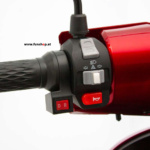 electric-scooter-eco-engle-506-3-wheel-red-funsho